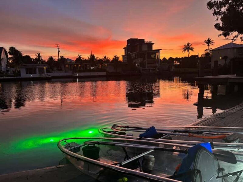 Florida: Sharkey's Guided Fish Feeding LED Night Tour - An In-Depth Look at the Fish Feeding LED Night Tour