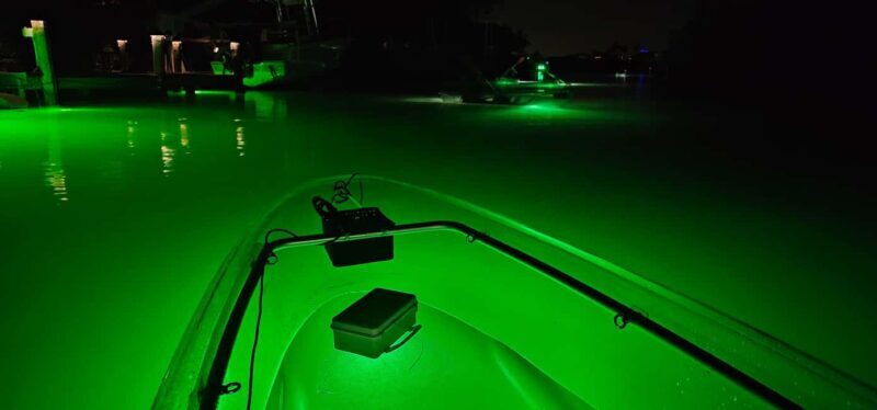 Florida: Sharkey's Guided Fish Feeding LED Night Tour - FAQ