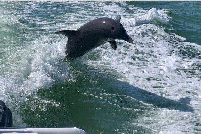 Florida's Beautiful Beaches and Waterways Private Tour - FAQ Section