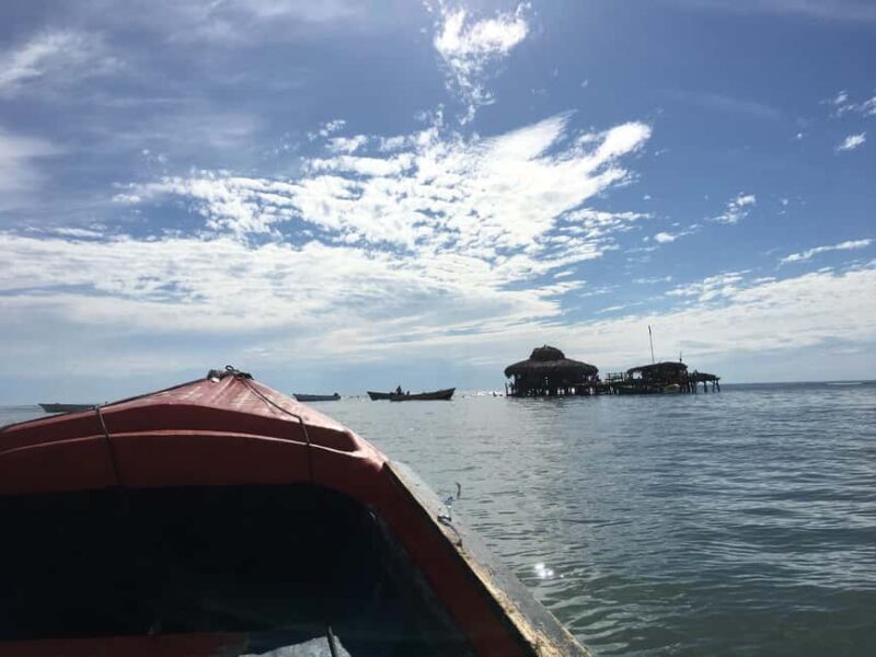 Floyds Pelican Bar, Ys Falls and Black River Safari Tour - A Practical Guide to the Jamaica Day Trip