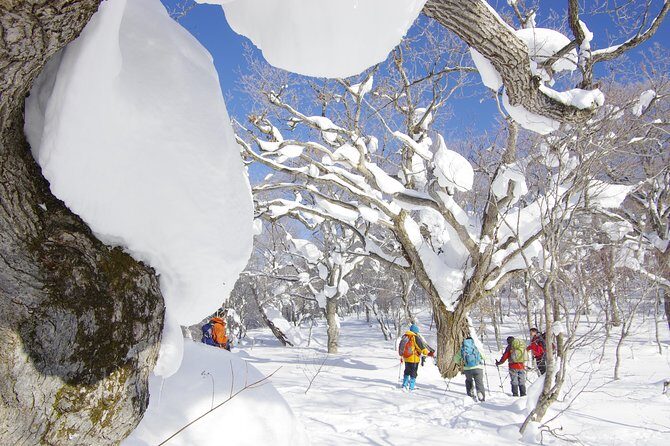 Fluffy New Snow and the Earth beating, Goshougake Oyunuma Snowshoeing Tour - Discovering the Goshougake Snowshoeing Adventure
