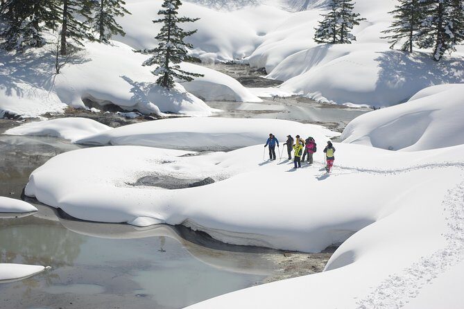 Fluffy New Snow and the Earth beating, Goshougake Oyunuma Snowshoeing Tour - Practical Considerations