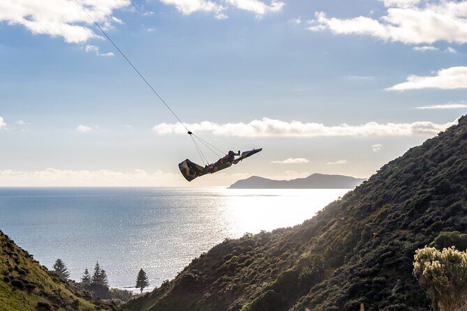Fly By Wire New Zealand - An In-Depth Look at the Fly By Wire Experience