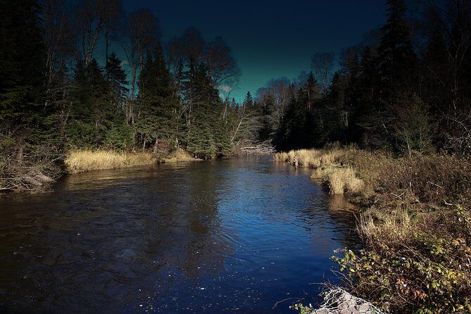 Fly Fishing Guided Experiences - Who Will Love This Tour?