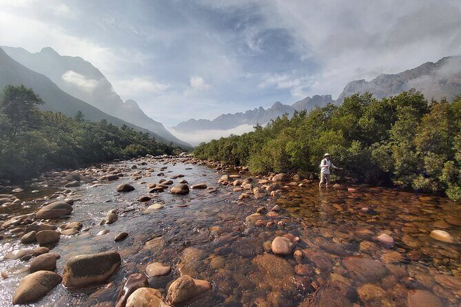 Fly Fishing in Cape Town for Five Hours - Key Points