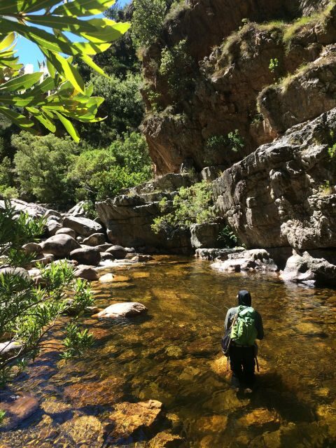 Fly Fishing in Cape Town - Key Points