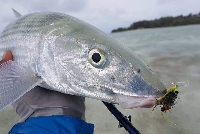 Fly Fishing Tour - Introduction: A Top-Tier Saltwater Fly Fishing Experience in Tobago