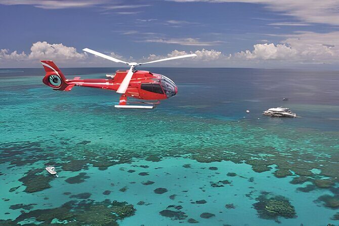 Fly in and Fly out Great Barrier Reef Cairns Day Tour - Key Points