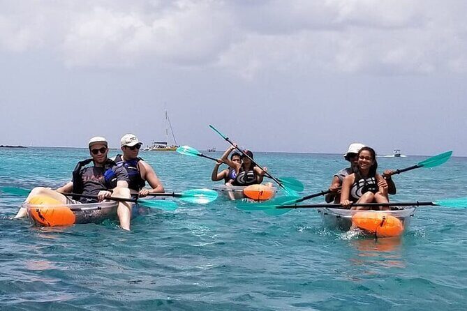 Folkestone Coral Reef Clear Kayak Tour - Who Will Love This Tour?