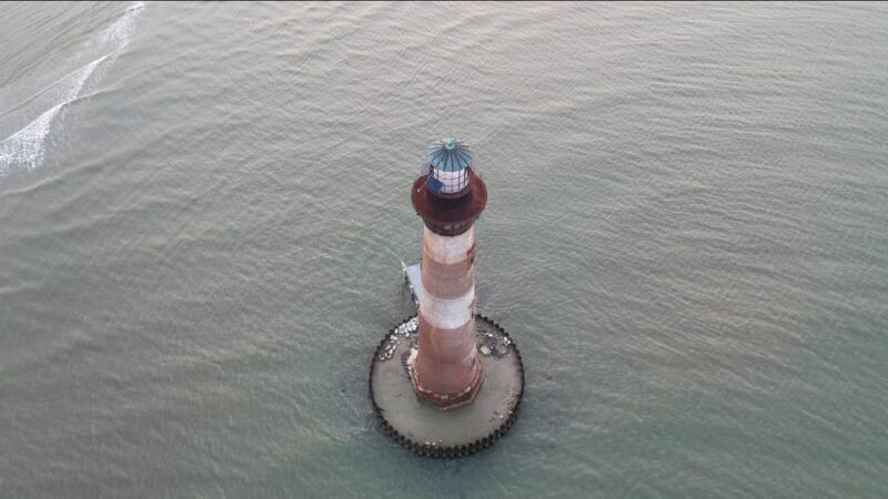 Folly Beach: Morning Dolphin Boat Trip to Morris Island - Final Thoughts