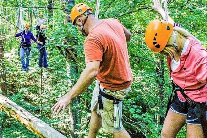 Fontanel Zipline Forest Adventure at Nashville North - Key Points: