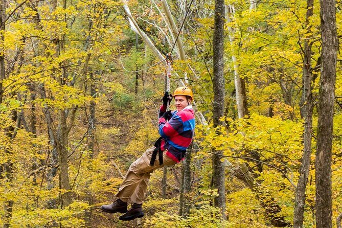 Fontanel Zipline Forest Adventure at Nashville North - FAQ