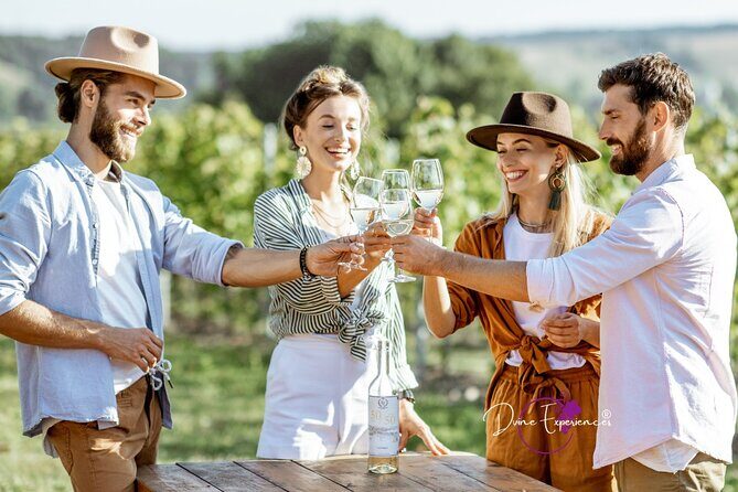 Food Wine and Wellness Tours in Port Macquarie and Coffs Harbour - A Closer Look at What Makes This Tour Stand Out