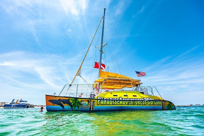 Footloose Catamaran Snorkel and Dolphin Watch Tour - What to Expect from the Tour