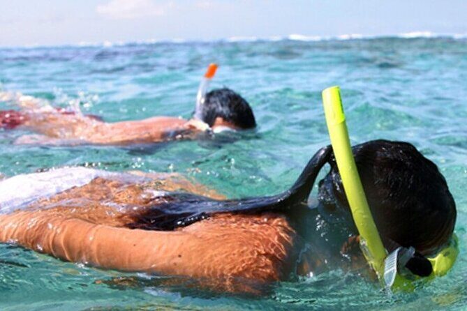 Footloose Catamaran Snorkel and Dolphin Watch Tour - FAQs