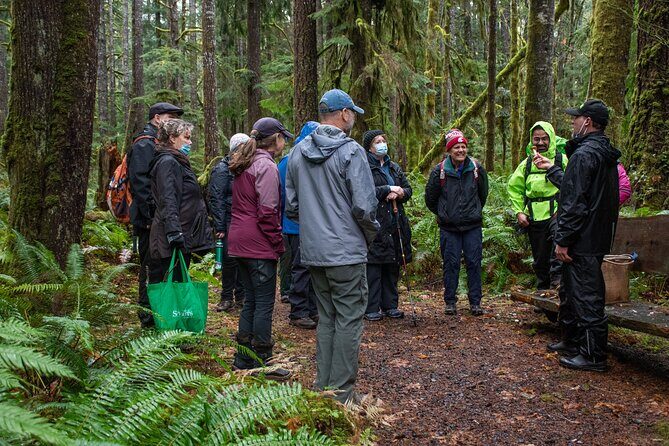 Foraging Tour of Edible Plants and Mushrooms in Brinnon - A Deep Dive into the Brinnon Foraging Experience