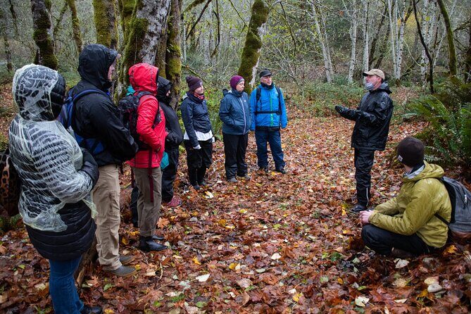 Foraging Tour of Edible Plants and Mushrooms in Brinnon - The Sum Up