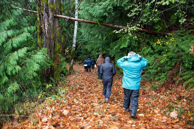 Foraging Tour of Edible Plants and Mushrooms in Brinnon - FAQ