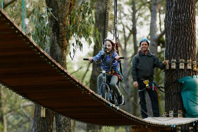 Forest Adventures - What Makes Forest Adventures Stand Out?