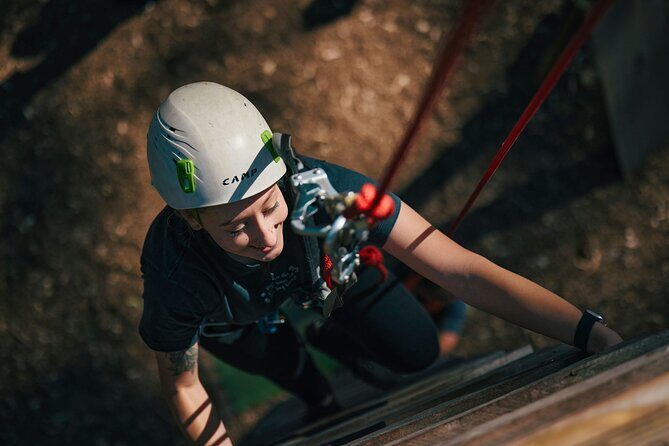 Forest Adventures - The Experience for Families and Groups