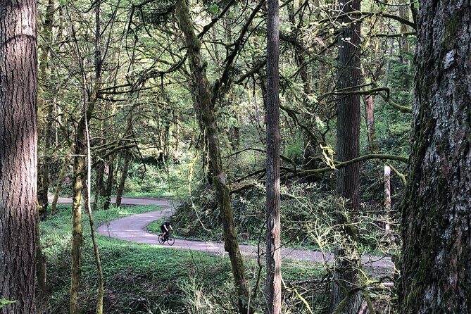 Forest Park Carbon Gravel Bike and E-Bike Tour - Why This Tour Offers Real Value