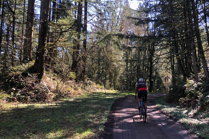 Forest Park Carbon Gravel Bike and E-Bike Tour - FAQ