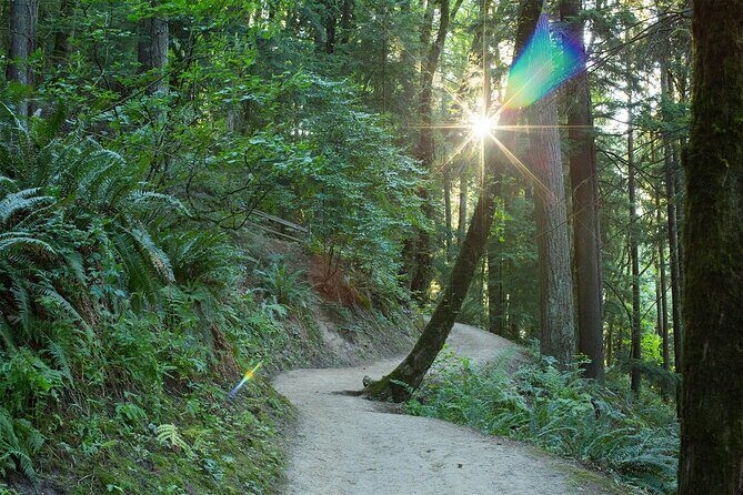Forest Park Hiking Tour to Pittock Mansion - Final Thoughts