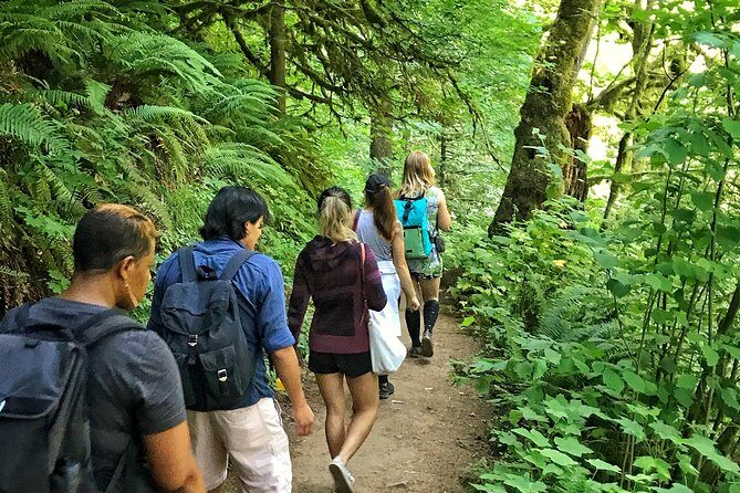 Forest Park Urban Hiking Tour, Portland - Authentic Experiences and What Reviewers Say