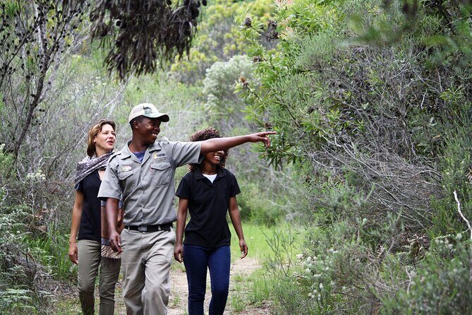 Forest Walk with Picnic and Wildife Tour - The Itinerary: What to Expect