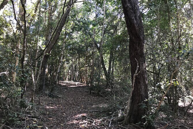 Forest Walk with Picnic and Wildife Tour - FAQ