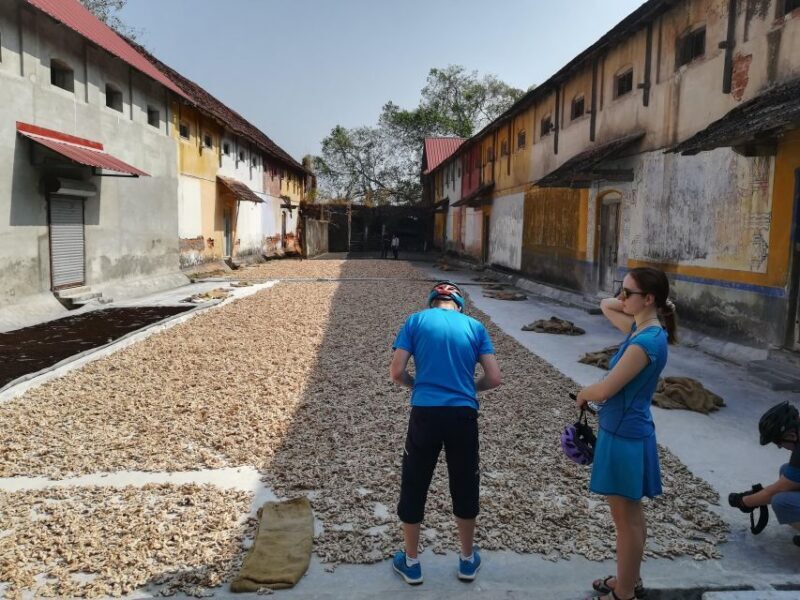 Fort Kochi Heritage Day Cycling Tour - The Experience in Depth: Why It Matters