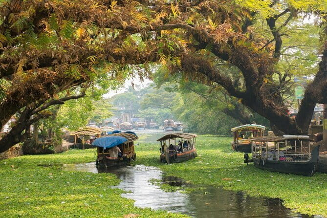 Fort Kochi Tour by Tuk Tuk for Cruise Passengers - Who Should Consider This Tour?