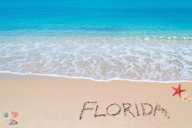 Fort Lauderdale Airport Private Transfer to Port Everglades - Final Thoughts