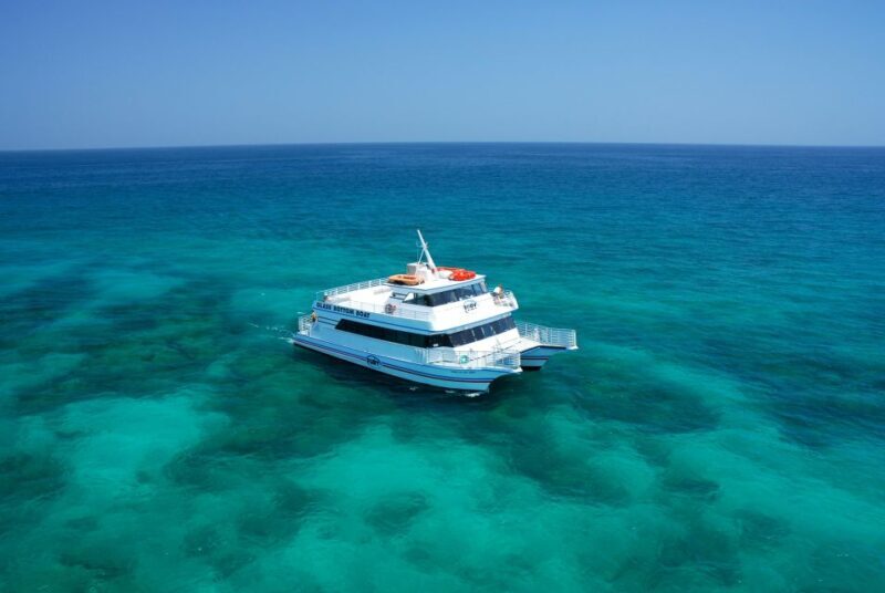 Fort Lauderdale: Key West Day Trip with Optional Activities - How the Day Unfolds: A Deeper Dive