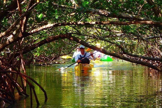 Fort Lauderdales Tropical Kayak Tour and Island Adventure - The Practicalities