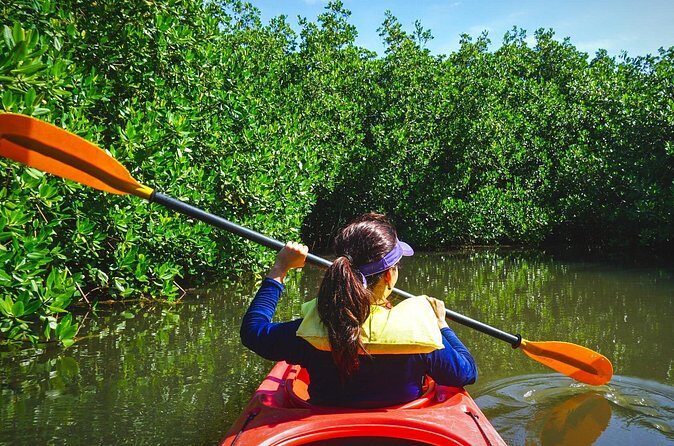 Fort Lauderdales Tropical Kayak Tour and Island Adventure - The Pros and Cons