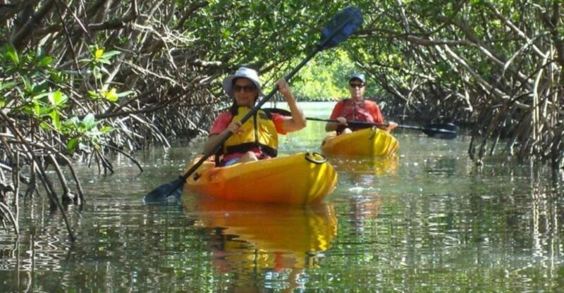 Fort Myers: Guided Kayak or SUP Tour in Pelican Bay - What the Tour Involves and the Experience You Can Expect