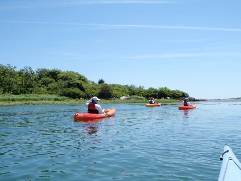 Fort Myers: Guided Kayak or SUP Tour in Pelican Bay - The Sum Up