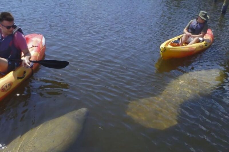 Fort Myers: Guided Kayak or SUP Tour in Pelican Bay - FAQs