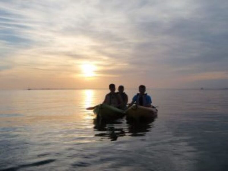 Fort Myers: Guided Sunset Kayaking Tour through Pelican Bay - What to Expect on the Tour?