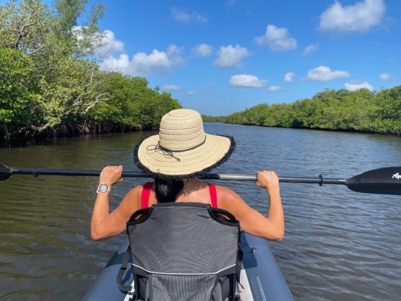 Fort Pierce: 4-hr Mangroves & Dolphin Watch Sandbar in FL - A Clear Overview of the Experience
