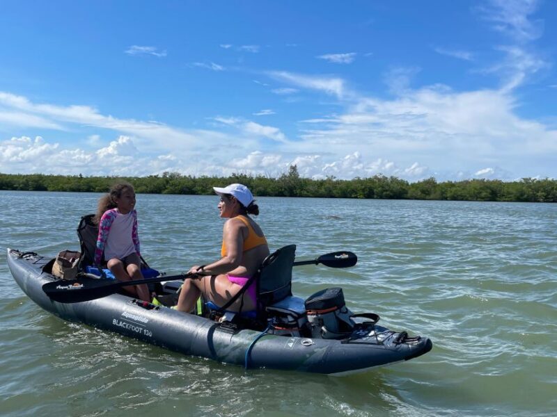 Fort Pierce: 4-hr Mangroves & Dolphin Watch Sandbar in FL - Practical Tips for Travelers
