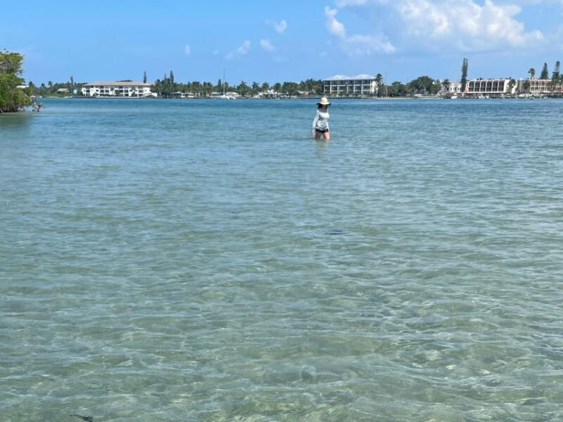 Fort Pierce: 4-hr Mangroves & Dolphin Watch Sandbar in FL - The Sum Up