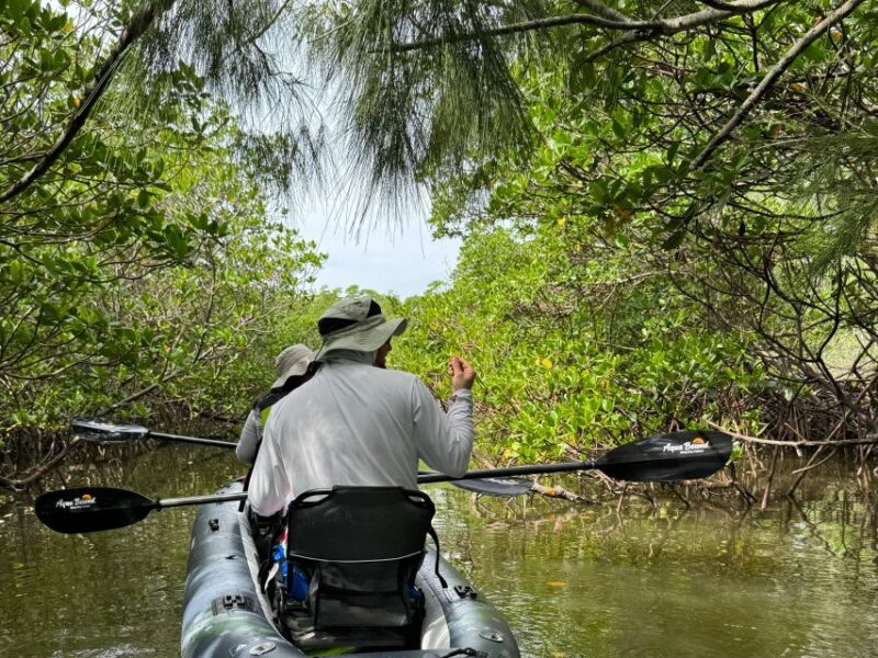 Fort Pierce: 6-hr Mangroves, Coastal Rivers & Wildlife in FL - A Closer Look at the Experience