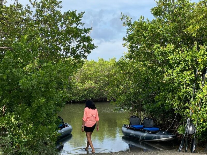 Fort Pierce: Prehistoric Preserve Kayak Tour - The Value Proposition: Who Should Consider This Tour?
