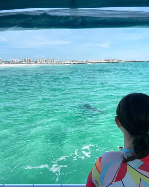 Fort Walton Beach: Emerald Coast 2-hour Dolphin Cruise - A Well-Rounded Experience: Why It’s Worth Considering