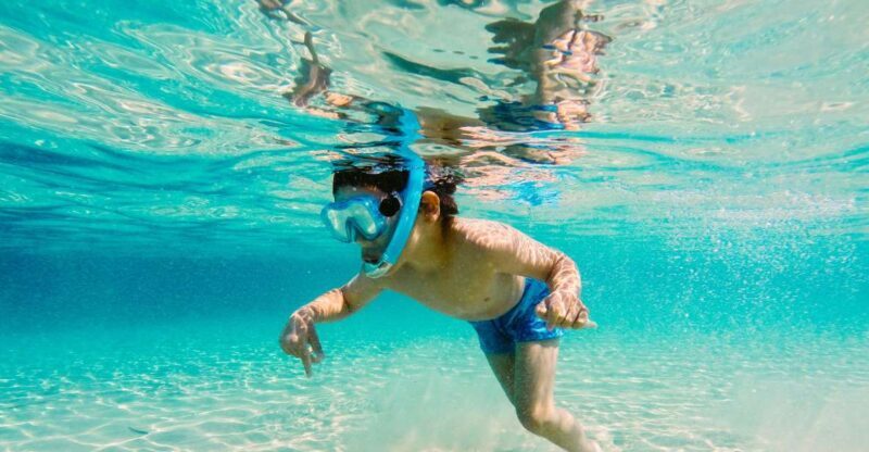 Fort Walton Beach: Morning Dolphin Cruise with Snorkel Stop - Setting Sail on the Emerald Coast