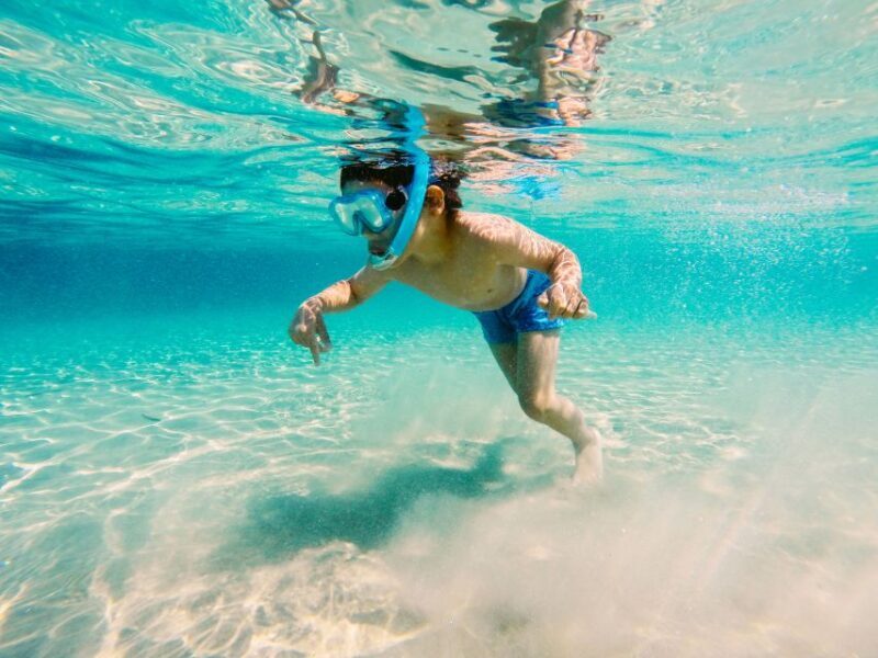 Fort Walton Beach: Morning Dolphin Cruise with Snorkel Stop - Watching Dolphins: A Regular Occurrence
