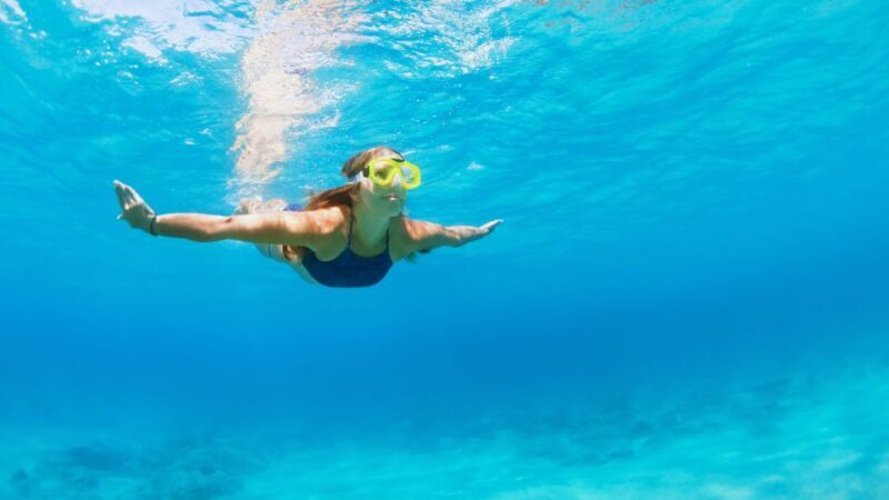 Fort Walton Beach: Morning Dolphin Cruise with Snorkel Stop - Authentic Insights from Guest Reviews