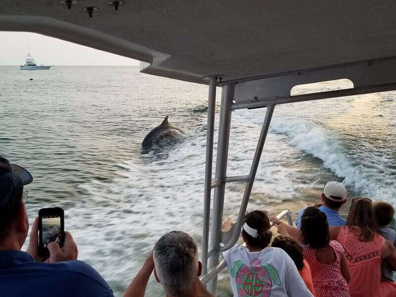Fort Walton: Dolphin Discovery and Snorkeling Cruise - A Practical Look at the Experience
